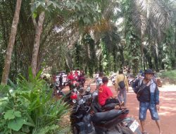 PT Sinar Citra Cemerlang ( SCC ) DIDuga Tidak Korperatif dan Melanggar Kesepakatan Bersama