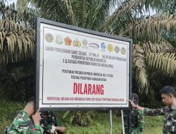 Satgas PKH Sita Ribuan Hektare Kebun Sawit PT Agro Bukit di Kalteng .