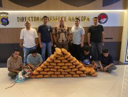 Polda Sumbar Tangkap Empat Pengedar 47 Kg Ganja