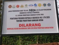 Ribuan Hektar Lahan PT BSP Disegel Satgas Garuda PK