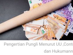 Pengertian Pungli Menurut UU ,Contoh dan Hukumannya