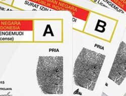 Begini Panduannya! Bagaimana Cara Bikin SIM Online lewat Hp?