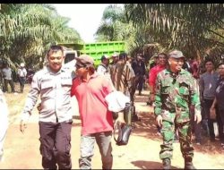 Bentrok Antara Aparat dan Masyarakat terjadi di PT AKPL ,Imbas dari Penangkapan 29 Orang Garong Buah Sawit