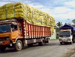 ALI Targetkan Indonesia Bebas Truk ODOL 2026