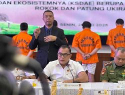 Bareskrim Tangkap Empat Tersangka Penjual Gading Gajah Ilegal