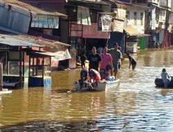 Sebanyak 12 Desa Terdampak Banjir Besar Ketapang