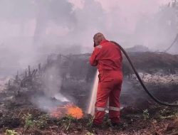 BPBD: Karhutla di Kalimantan Barat Terus Meluas