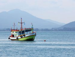 Hari Nelayan Internasional, Apresiasi untuk Pahlawan Laut Dunia