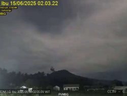 Gunung Api Ibu Erupsi, Tinggi Letusan Capai 500 Meter