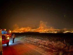 California sedang Menghadapi Kebakaran Hutan Terbesar Tahun Ini