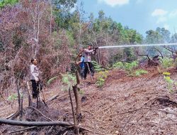 Api Hanguskan Satu Hektare Lahan Warga di Kapuas