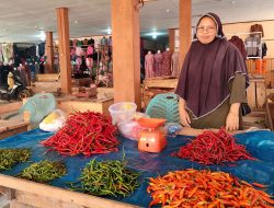 Harga Cabai Rawit Naik, Tertinggi Sentuh Rp200 Ribu