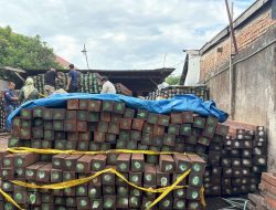 Distribusi Hasil Hutan Ilegal Sulawesi