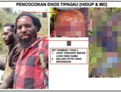 Prajurit TNI Lumpuhkan Tokoh OPM Enos Tipagau