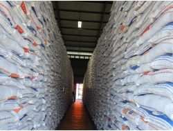 Pemerintah Salurkan 360 Ribu Ton Bantuan Beras