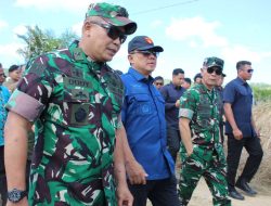 Negara Berhasil Tertibkan Jutaan Hektare Lahan Hutan Ilegal