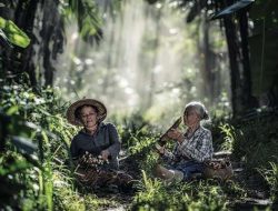Pemerintah Siapkan Hutan Adat untuk Penyerapan Karbon