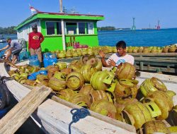 Enam Tips Aman Menyimpan Tabung Gas Rumah Tangga