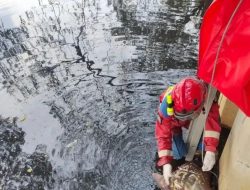 Pria Tanpa Identitas Ditemukan Mengambang di Penjaringan Jakut