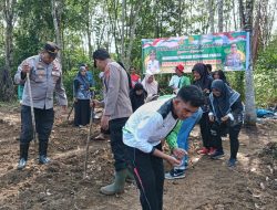 Polsek Kota Besi dan Kelurahan Kota Besi Hulu Bersatu Padu Dukung Ketahanan Pangan Nasional Melalui Program Penanaman Jagung