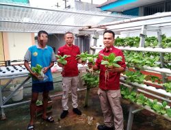 Dukung Ketahanan Pangan : Rutan Ambon Terus Konsisten  Hasilkan Panen Berkelanjutan,