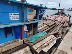 Gakkum Kehutanan Amankan Kayu Tanpa Dokumen di Batam