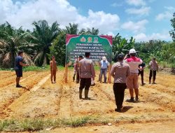 Polsek Mentaya Hulu Gandeng PT BAT, Wujudkan Swasembada Pangan Melalui Penanaman Jagung Pipil