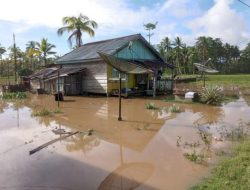 Puluhan Bencana Landa Sejumlah Wilayah dalam 24 Jam, Didominasi Cuaca Ekstrem