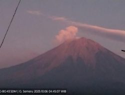 Gunung Semeru Meletus Hari Ini, Tinggi Kolom Abu Vulkanik 700 Meter