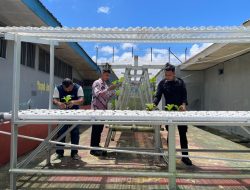Perluas Lahan Hidroponik dan Organik, Rutan Ambon Tegaskan Komitmen Dukung Ketahanan Pangan Nasional