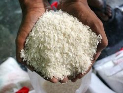 BPS Ungkap Harga Beras Turun selama Oktober 2025, dari Penggilingan hingga Eceran