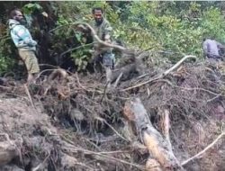 Identitas 15 Orang Hilang Disapu Banjir Bandang dan Longsor di Nduga Papua