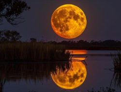 Supermoon 5 November 2025 Jadi yang Terbesar Tahun Ini, Indonesia Kebagian!