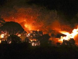 Kebakaran Dahsyat di Jepang Ludeskan 170 Rumah, Api Menyebar ke Hutan