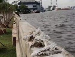 Viral Air Laut di Pesisir Jakarta Lebih Tinggi dari Daratan, Mengkhawatirkan!