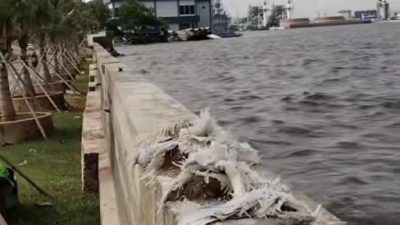 Viral Air Laut di Pesisir Jakarta Lebih Tinggi dari Daratan, Mengkhawatirkan!