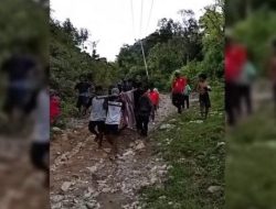 Kisah Pilu dari Mamasa, Pasangan Lansia Sakit Parah Ditandu 8 Km ke RS akibat Jalan Rusak