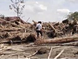 Kapolri Sebut Sudah Kantongi Tersangka Kasus Gelondongan Kayu di Sumut, Siapa?