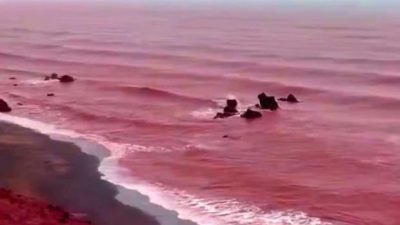 Viral, Pantai di Iran Berubah Menjadi Merah seperti Lautan Darah