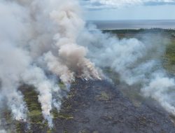 Enam Hektare Lahan Kosong di Ujung Pandaran Terbakar, Warga Diimbau Waspada
