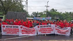 Tuntut Keadilan untuk Masyarakat Adat, Massa Kepung DPRD Kotim