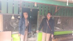 Mediasi Berujung Kesepakatan, Usaha Pemotongan Ayam di Baamang Tengah Siap Pindah dalam Sepekan