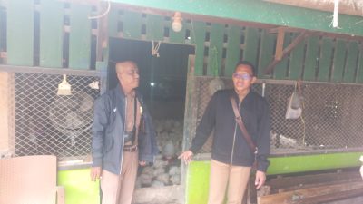 Mediasi Berujung Kesepakatan, Usaha Pemotongan Ayam di Baamang Tengah Siap Pindah dalam Sepekan