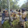 Jelang Iduladha, Pemeriksaan Hewan Kurban di Kotim Mulai Dilakukan