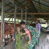 Kampung Pancasila Jadi Wadah Persatuan, TNI di Sampit Aktif Bangun Komunikasi dengan Warga
