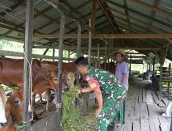 Kampung Pancasila Jadi Wadah Persatuan, TNI di Sampit Aktif Bangun Komunikasi dengan Warga