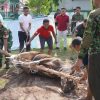 Idul Adha 1447H: Korem 102/Pjg Tebar Kepedulian Lewat 17 Hewan Qurban untuk Prajurit dan Warga