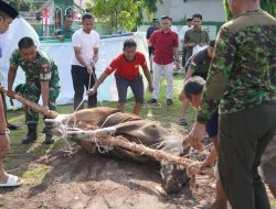 Idul Adha 1447H: Korem 102/Pjg Tebar Kepedulian Lewat 17 Hewan Qurban untuk Prajurit dan Warga