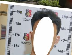 Aksi Nekat Pencurian di Kebun Sawit PT WNL Berujung Penangkapan, Pelaku Tak Berkutik