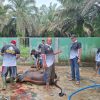 Harumnya Semangat Berbagi, Iduladha di Desa Sumber Makmur Tebar Kepedulian dan Pererat Kebersamaan